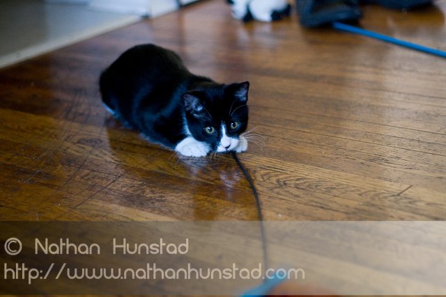 Misha_2008-08-06_IMG_1091